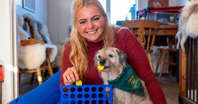 Meet the adorable dog that can play Connect 4 and other popular games from the 1970s