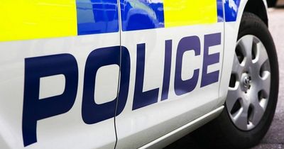 Man threatened in Lady Bay after his van was broken into