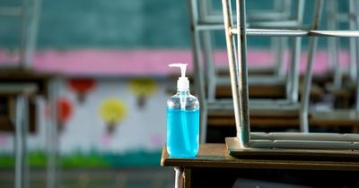 Dublin children 'less sociable' since beginning of Covid-19 pandemic, national survey claims