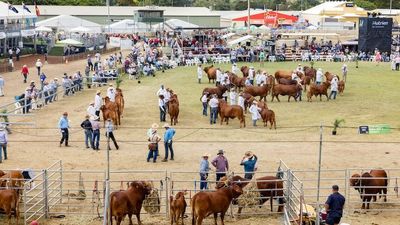 Beef 2021 wins gold tourism award after pulling off event many thought impossible