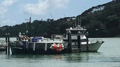 New Zealand fishing charter boat capsizes, leaving at least three dead, two missing