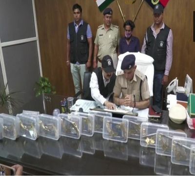 Gurugram: Illegal arms dealer 'Gabbar' arrested with arms, cartridges