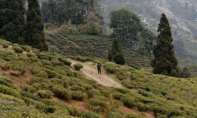 Darjeeling unlimited: new party vows to end region’s strife