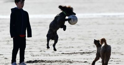 Met Office's hour-by-hour weather forecast for Monday in the North East as sunshine continues