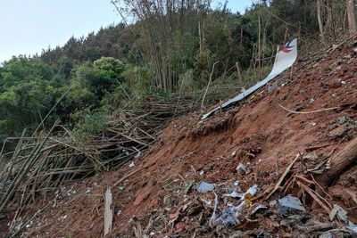 China plane crash: 132 killed as Boeing 737 smashes into remote mountains after near-vertical dive