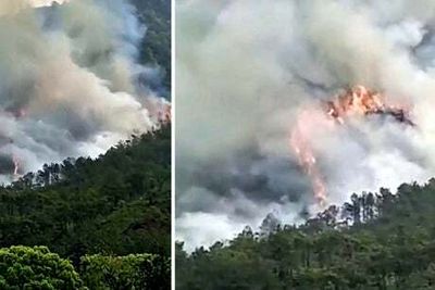 China plane crash: Airliner with 132 people on board goes down in Guangxi province