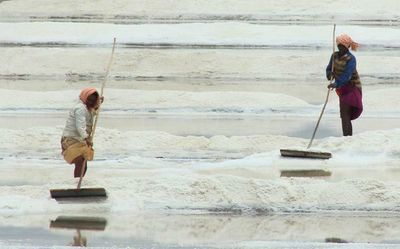 Salt manufacturers seek uniform ground rent for Central government lands