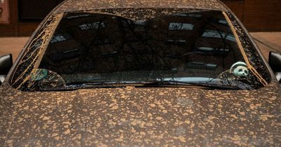 Weather phenomenon is why many people across Ireland are waking up to dirty cars in recent days