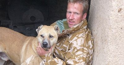 Boris Johnson DID order Afghan animal rescue and officials 'must have' lied, says whistleblower
