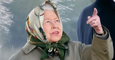 The Queen amazes guests at Windsor Castle as she can identify Heathrow Airport planes by their sound