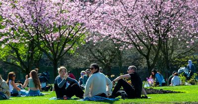 Scotland to be hotter than Barcelona this week at 19C as warm March spell continues