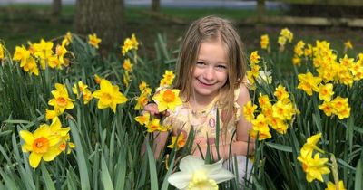 What Met Office is saying about 20C spring temperatures in England and Wales