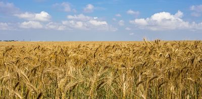 Ukraine's economy went from Soviet chaos to oligarch domination to vital global trader of wheat and neon – and now Russian devastation