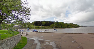 Pitbull bites young girl's face and body on Scots beach as owner flees scene