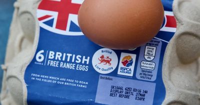 Free-range eggs disappear from shelves amid bird flu outbreak affecting Tesco, Asda, Sainsbury's and Morrisons