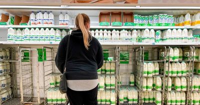 We compared all the prices of milk at Tesco, Asda, Sainsbury's and other supermarkets to see which is cheapest