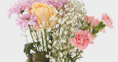 Aldi's brings back blooming good Mother's Day floral gift range from just £1.99