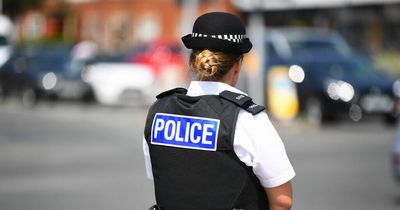 Audi and BMW stolen as car thieves target town