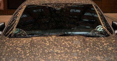 Bizarre weather patterns means motorists are clearing Saharan dust off their vehicles