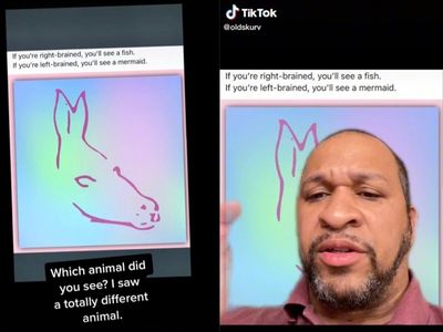 People bewildered by optical illusion claiming to show mermaid or fish: ‘It’s a donkey or a seal, surely?’