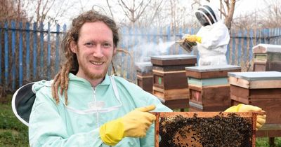 Community garden on Meadow Well estate playing host to unique new business Pure Buzzin bringing bee-keeping to locals