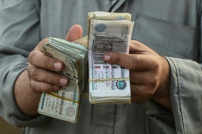 Egypt's currency plunges almost 17% against greenback