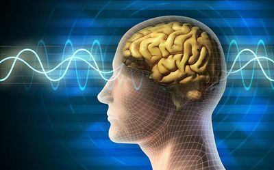 IIT-Madras sets up centre to study human brain