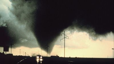 Powerful storm spawns tornadoes across Texas, Oklahoma: High school and animal shelter hit