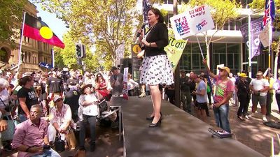 NSW Liberal MP Tanya Davies addresses anti-vax protest outside NSW Parliament