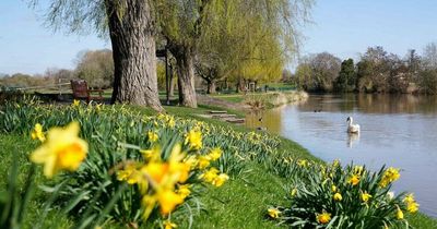 Seven days of warm sunshine forecast by Met Office