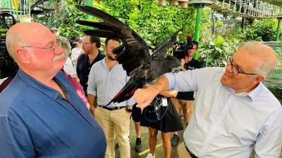 As the 2022 federal election looms, Scott Morrison announces $60m for tourism recovery