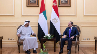 Egypt, UAE Assert Need to Bolster Arab Solidarity