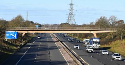 Baby girl killed by dog, M53 closed in police incident and cocaine trafficker