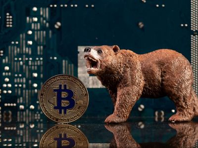 Bitcoin On-Chain Activity Remains Firmly In Bear Market Territory: Glassnode