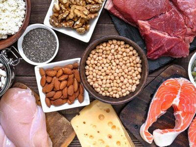 CSIRO maps a $13b future for protein-based foods