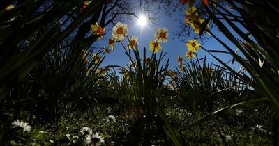 Hour-by-hour forecast as North East looks set for more sunny weather