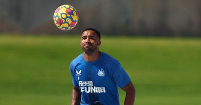 Eddie Howe might get the 'new signing' he wants for Newcastle run in after Callum Wilson update