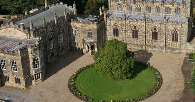 Auckland Castle to reopen after winter closure with ancient treasures and new attractions