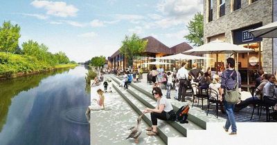 'Inception' plan for canal prompts call for social services to get involved