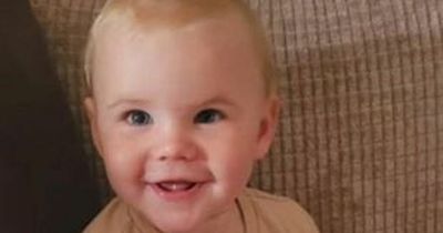 First picture of baby killed in horror dog attack after neighbours tried to do CPR
