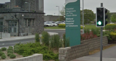Gardai arrest two young boys after 'delivery driver stabbed' in Co Offaly