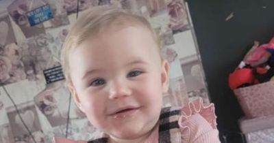 Mum's hysterical screams as pet dog only bought a week ago savaged toddler to death