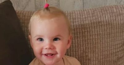 St Helens dog attack: Family's tribute to "much-loved" tot killed by new pet