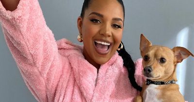 PrettyLittleThings is hunting for dog models to show off it's adorable new range
