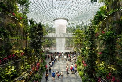 ‘World’s best airport’ has indoor rainforest, slide, trampolines and rooftop pool