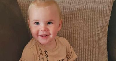 Family tribute to 'much-loved' toddler Bella-Rae after fatal dog attack