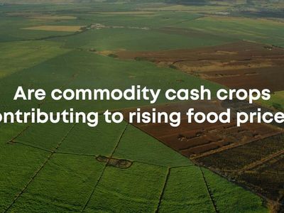 Are Commodity Cash Crops Contributing To Rising Food Prices?