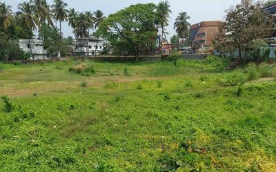 Directive to restore filled pond leads to ‘Water Day celebrations’