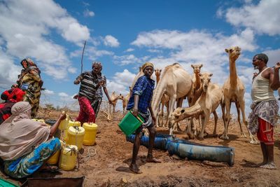 East Africa's hunger crisis needs global action, says Oxfam