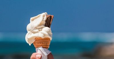 Ice cream sellers slapped with fine after they were caught trading without permission in County Durham